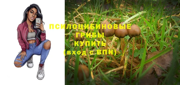 тгк Покров