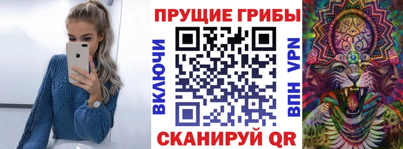 Псилоцибиновые грибы мицелий купить цена Жуковка